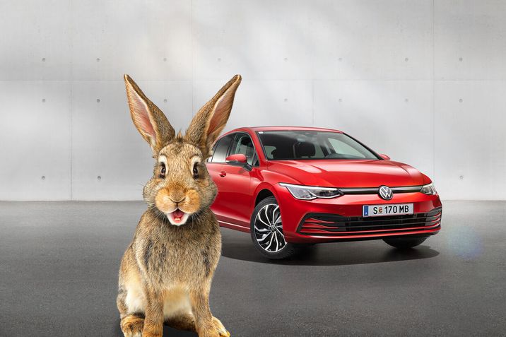 Der neue Golf Rabbit 45
